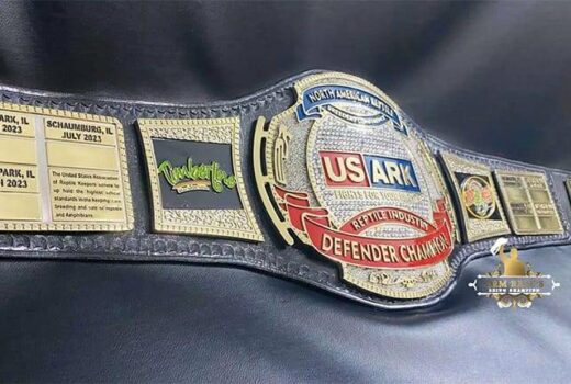 WWE Belt Care: How to Clean and maintain WWE replica championship belts at home for a lasting shine