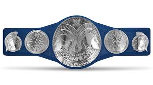 SmackDown Tag Team Championship belt, WWE Championship belts