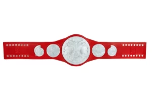 Raw Tag Team Championship belt, WWE Championship belt